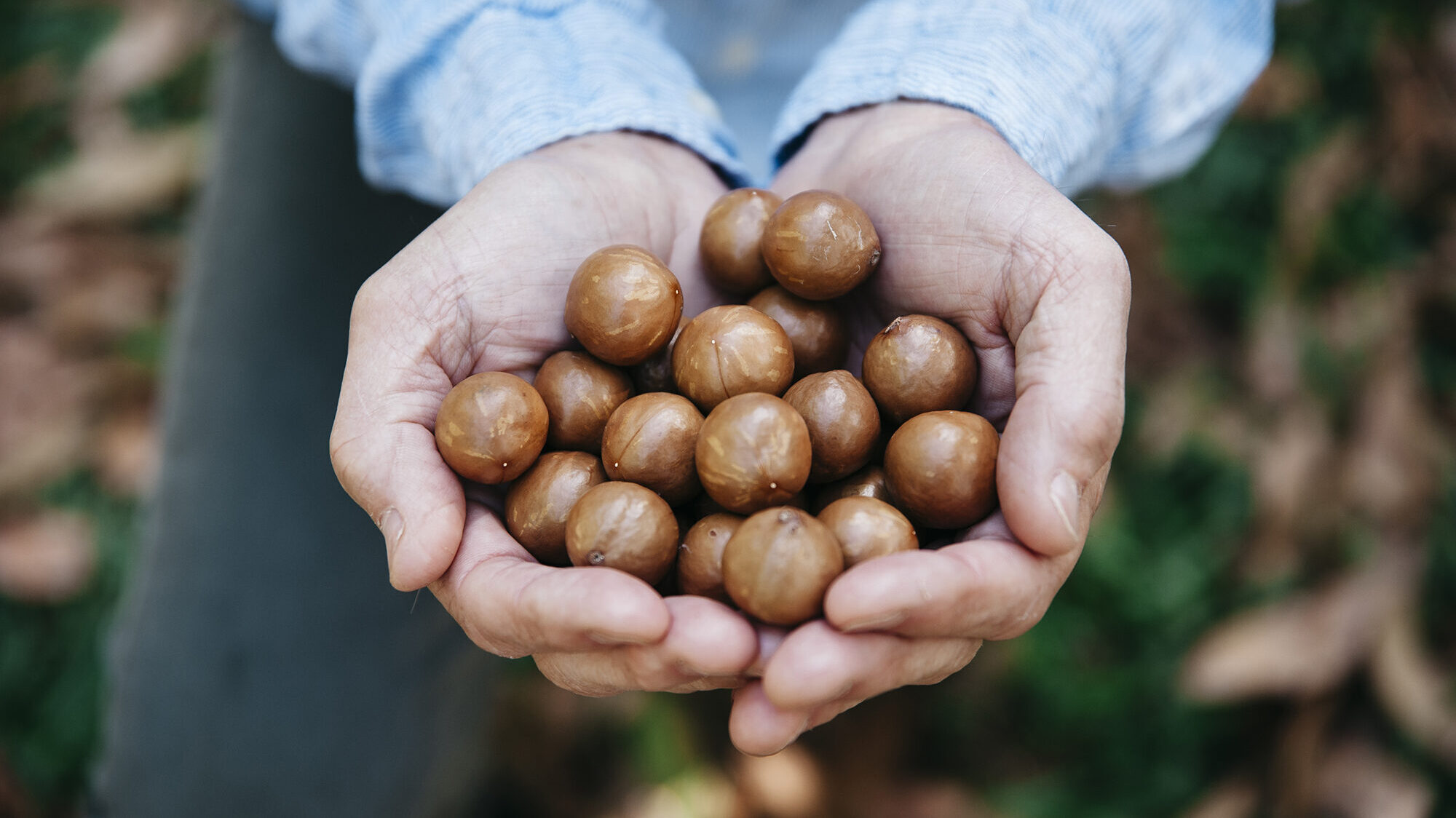 Macadamias are a convenient and healthy wholefood