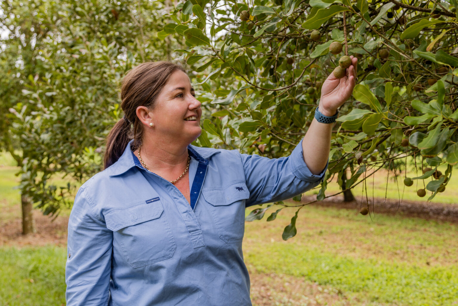 macadamia farmer Michelle Ninness