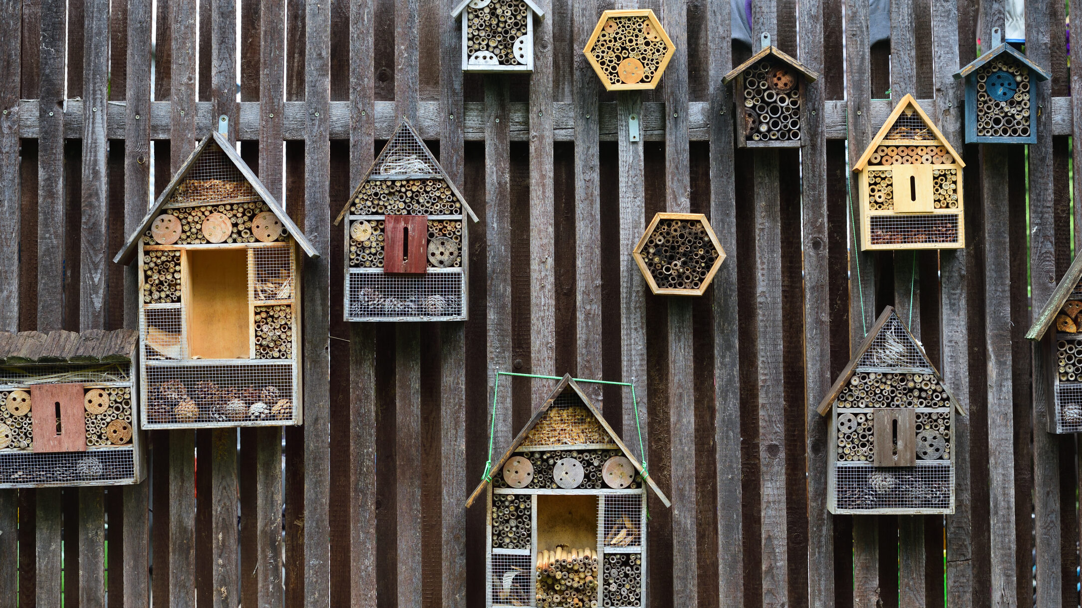 Various bee houses 