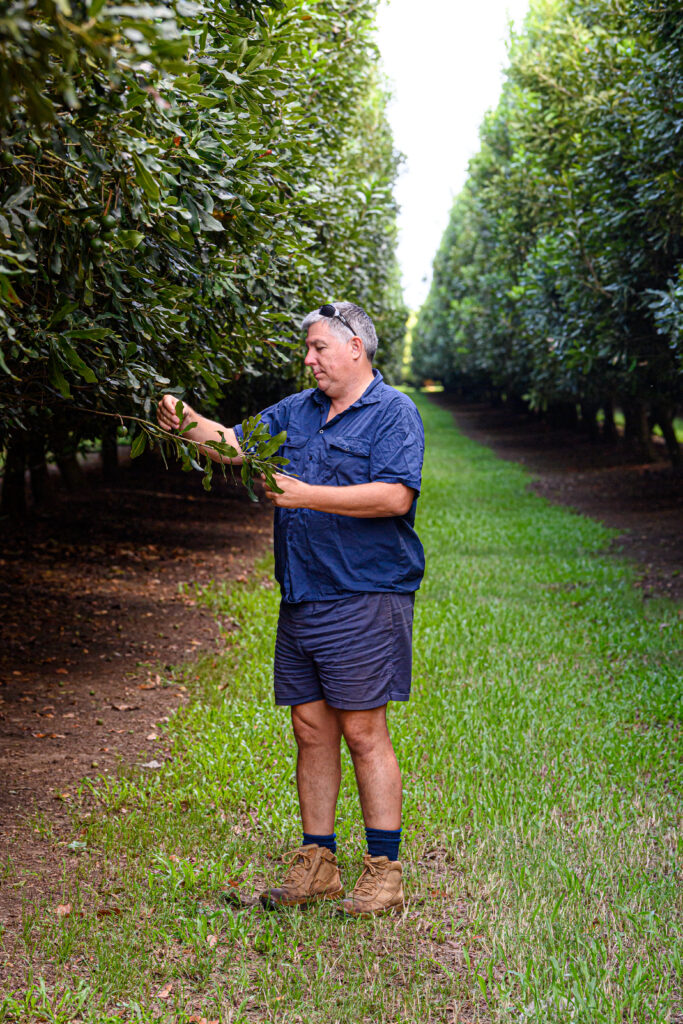 Macadamia farmer Anthony Sinnott