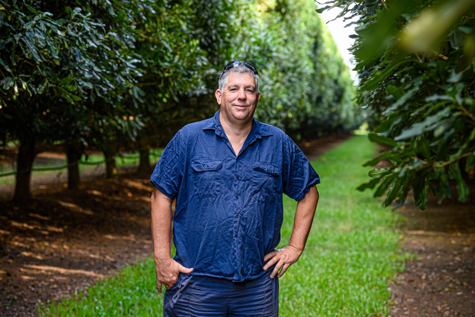 Macadamia grower Anthony Sinnott