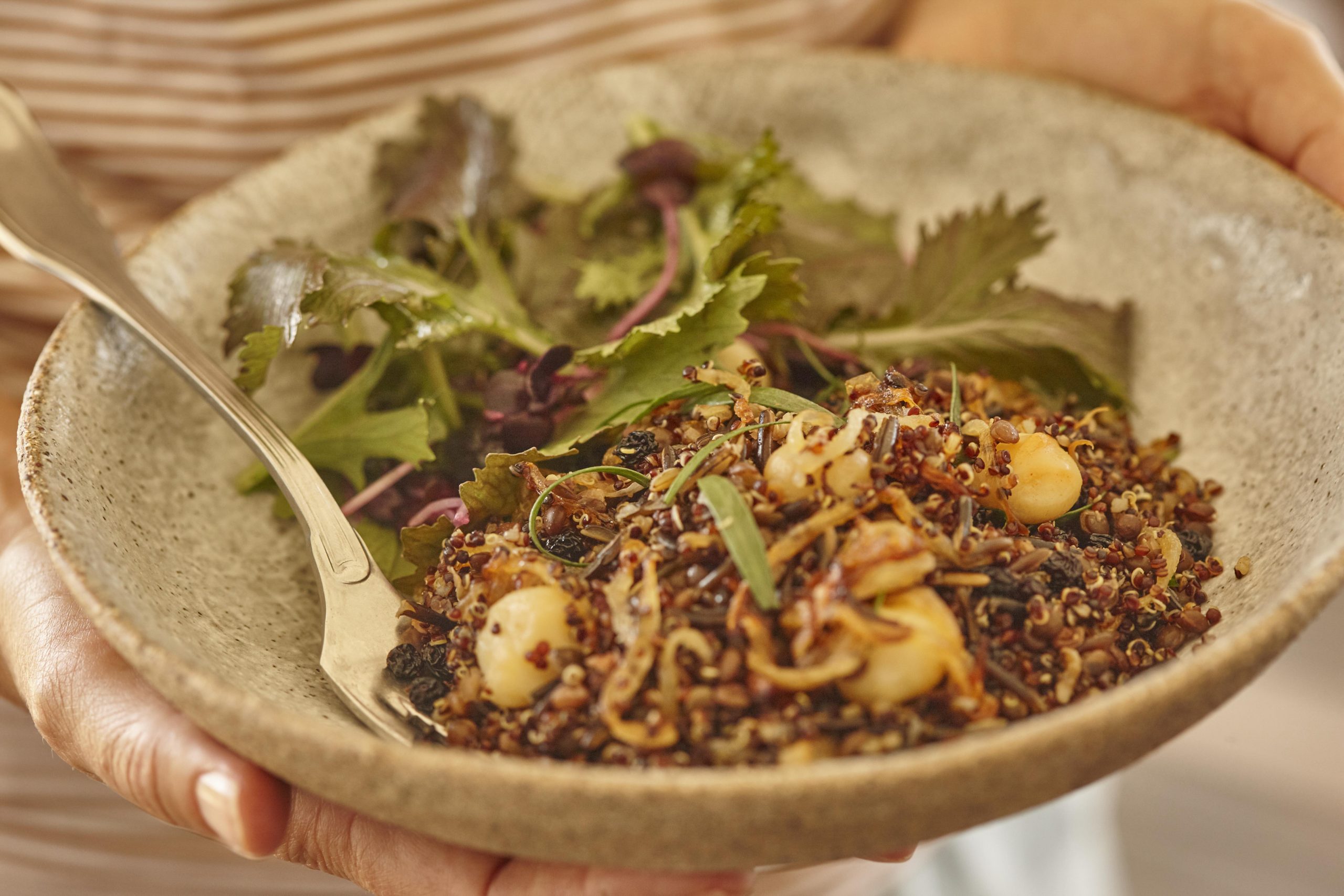 Quinoa, wild rice, lentil and macadamia salad - Australian Macadamias