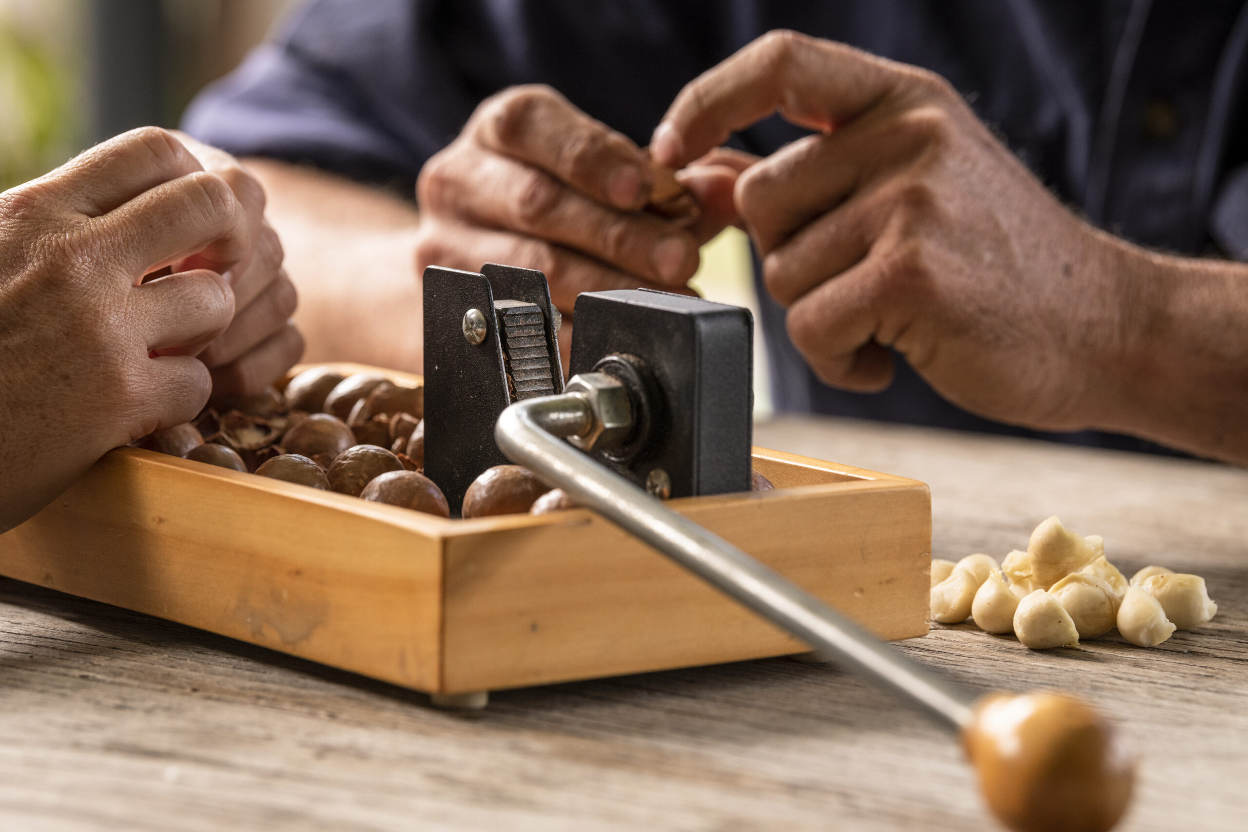 How to crack a macadamia nut - Australian Macadamias