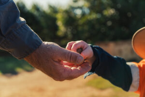 Nielson Family - Macadamia Growers QLD