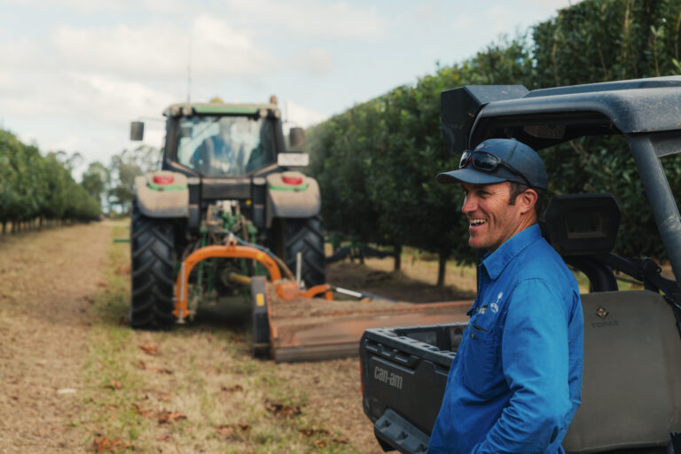 Michael McMahon Australian macadamia nut grower profile