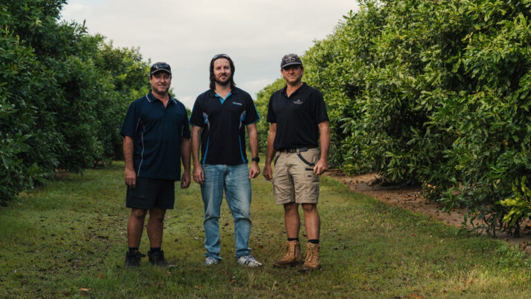 For the Andreoli family, macadamias are also about sharing.