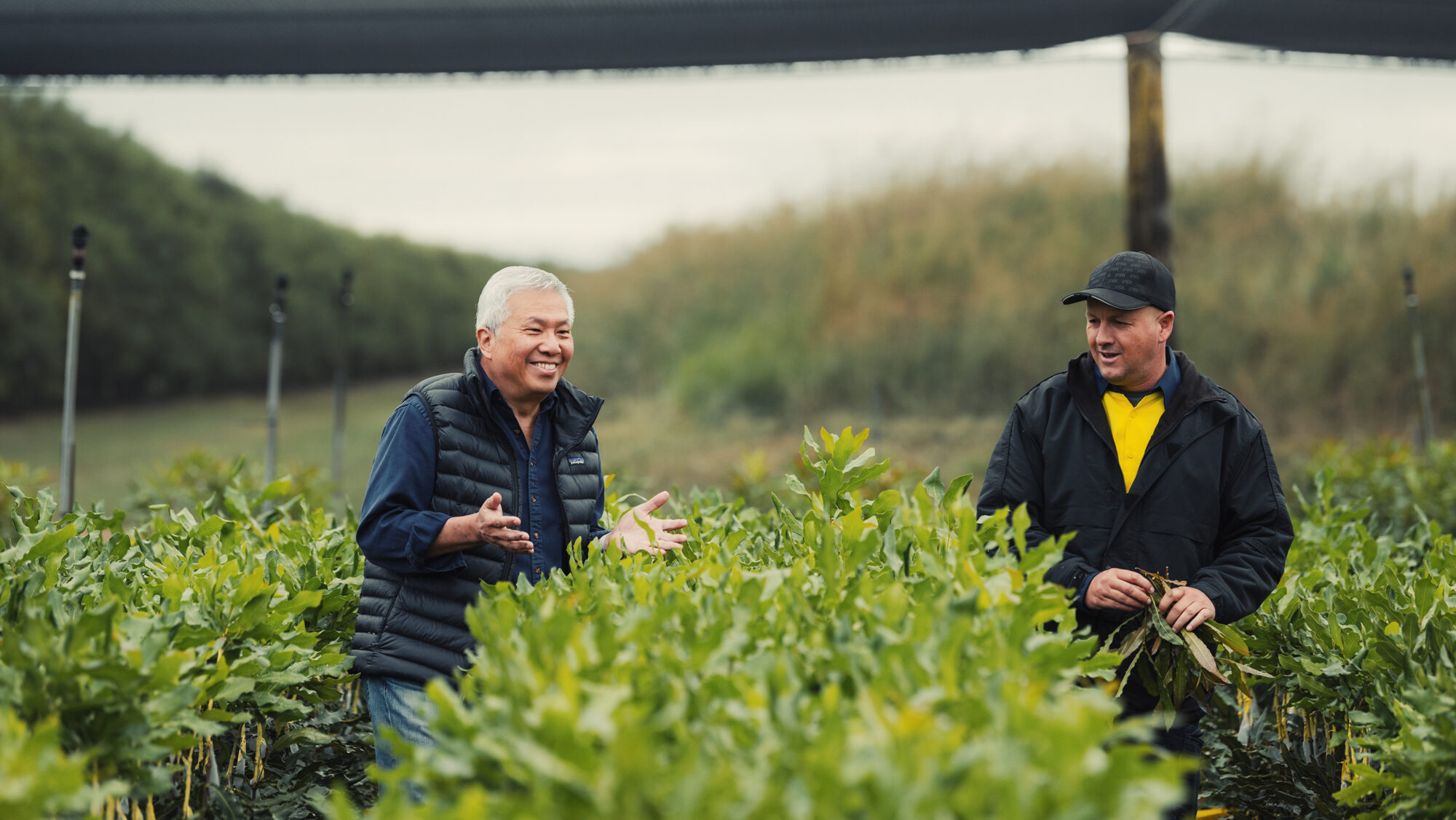 Grower profile: Lorin Young & Johan Oosthuizen
