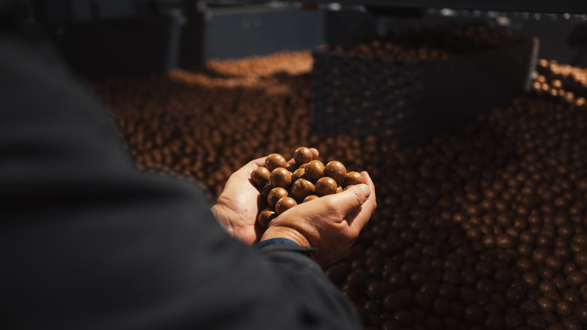 Nursery to nut, with a little sunshine bottled in between.
