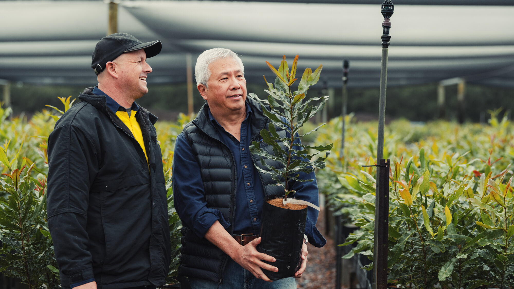 Johan & Lorin, Alloway Macadamia