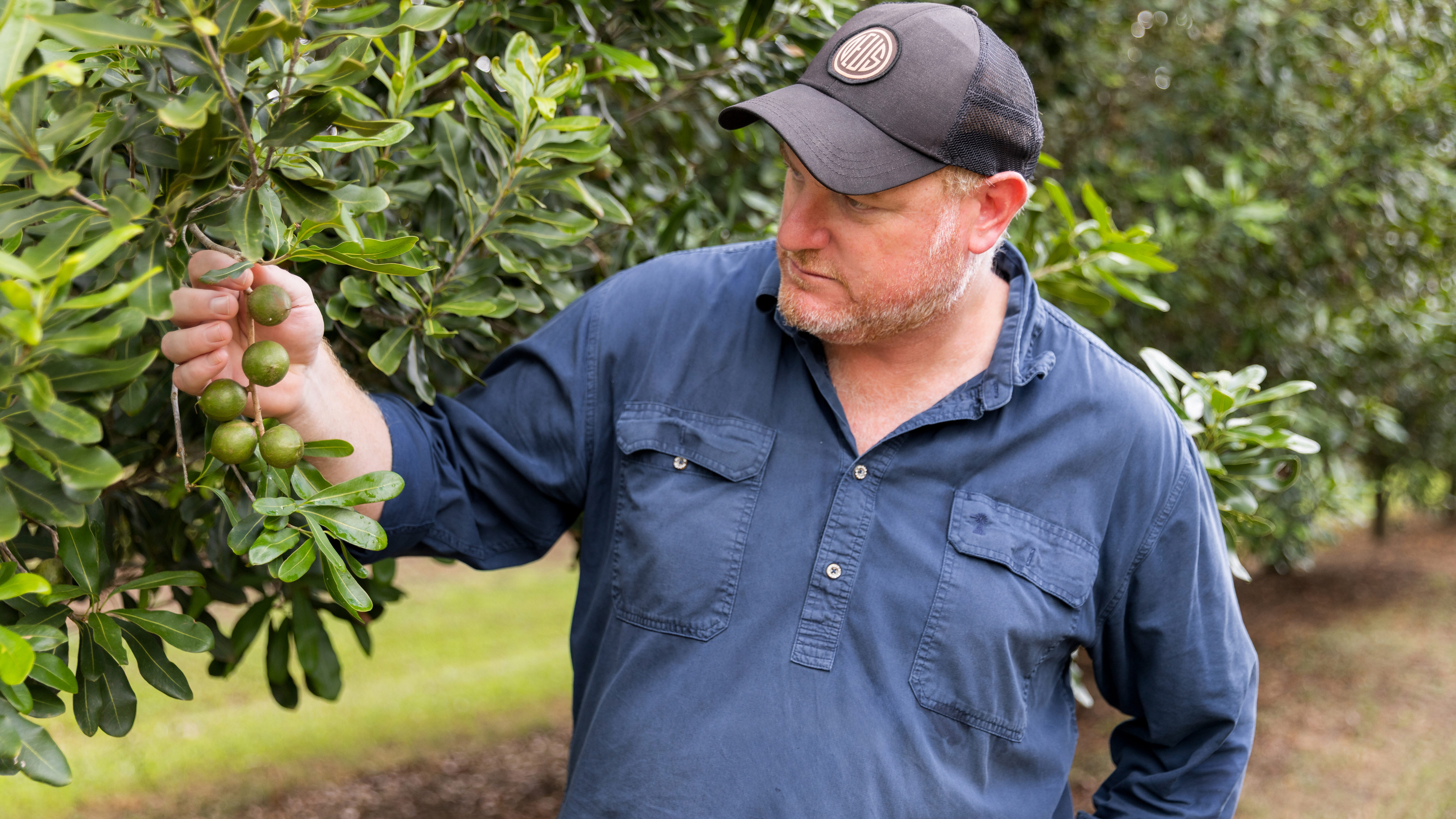 Macadamia farmer Graham Wessling