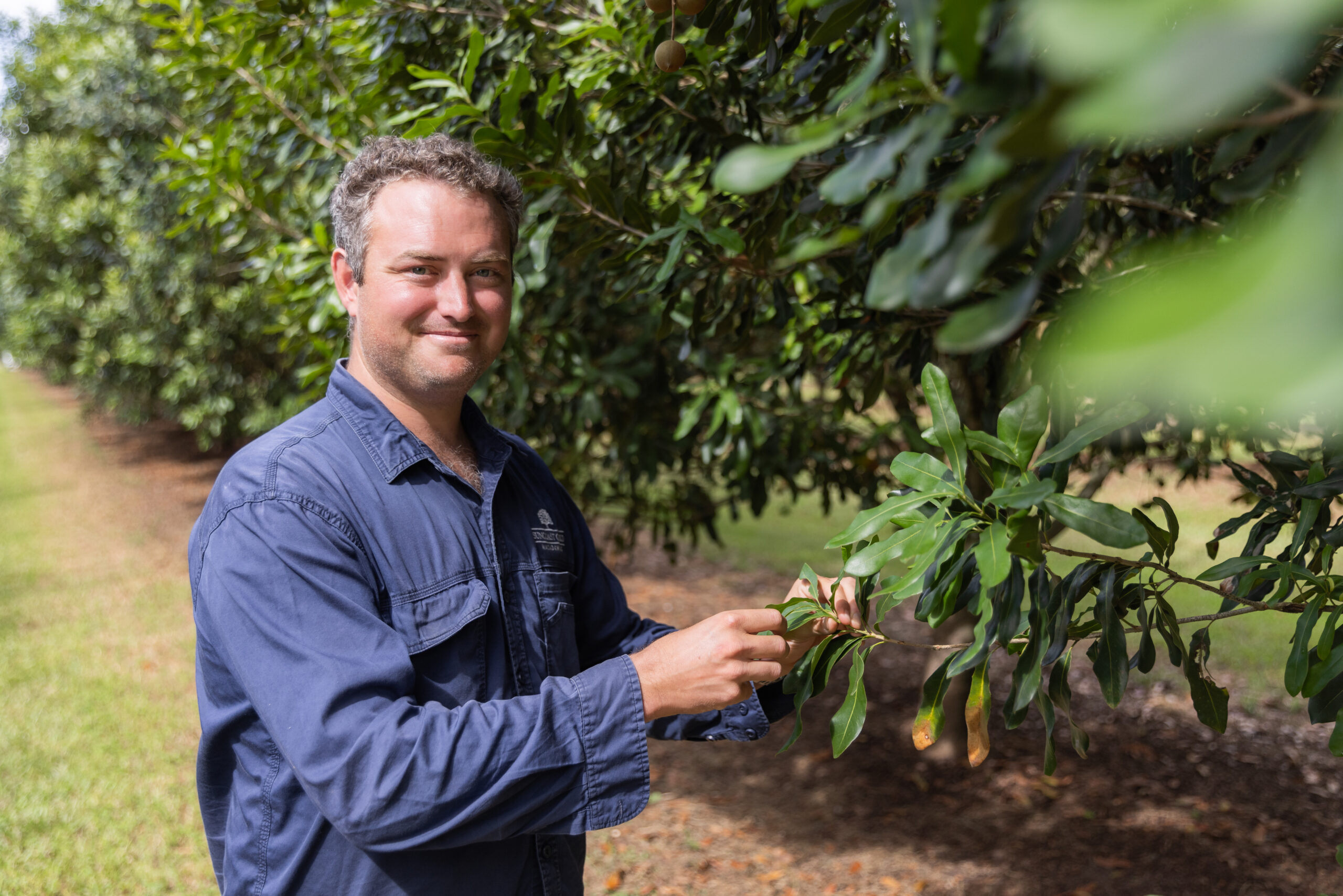 Meet Australian macadamia farmer Miles Gillespie