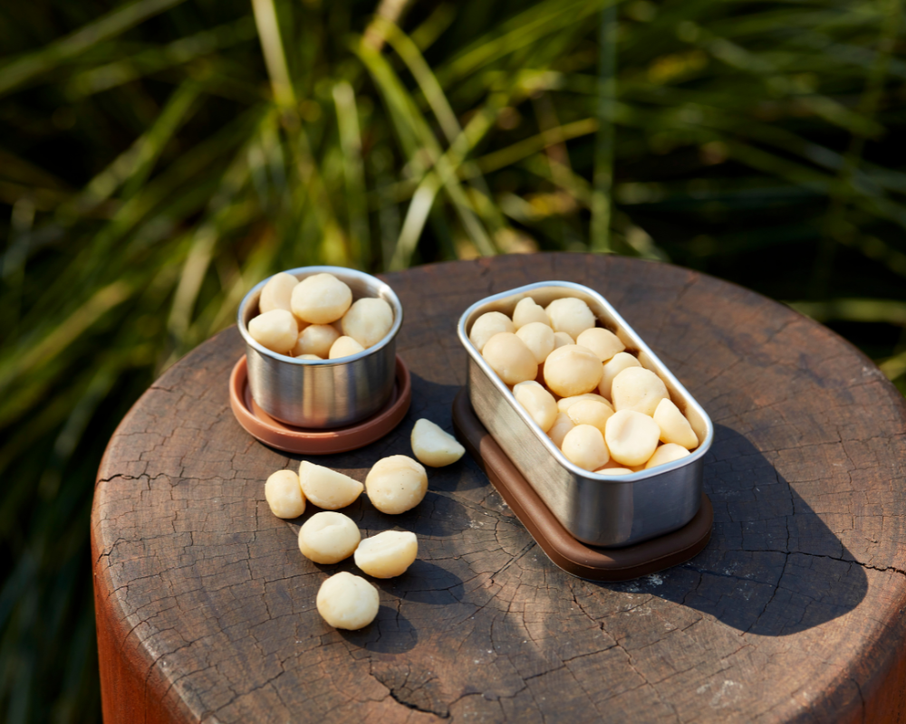 Snack tin with macadamia nuts