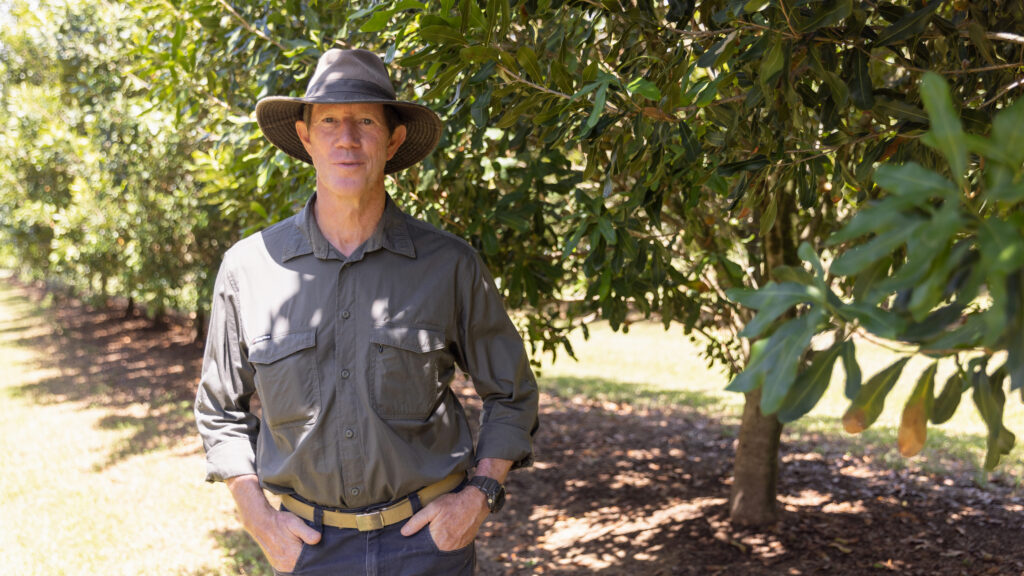 Macadamia grower Paul Chapman, NSW
