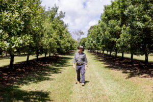Australian macadamia farmer paul Chapman
