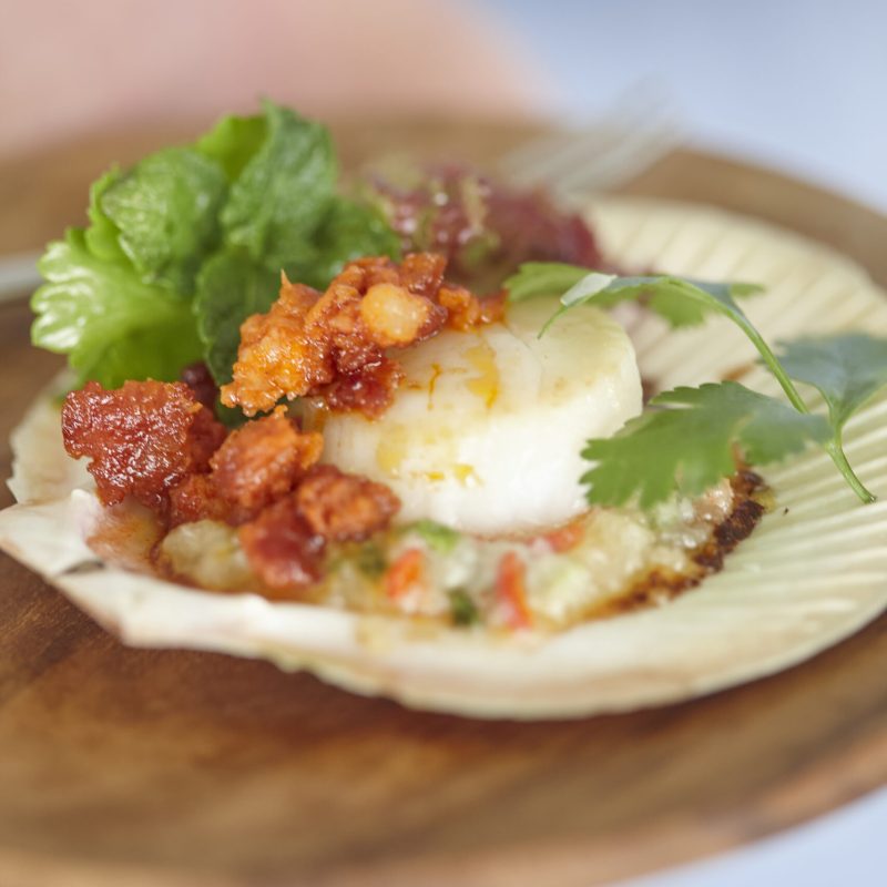 pan-seared scallops with macadamia butter